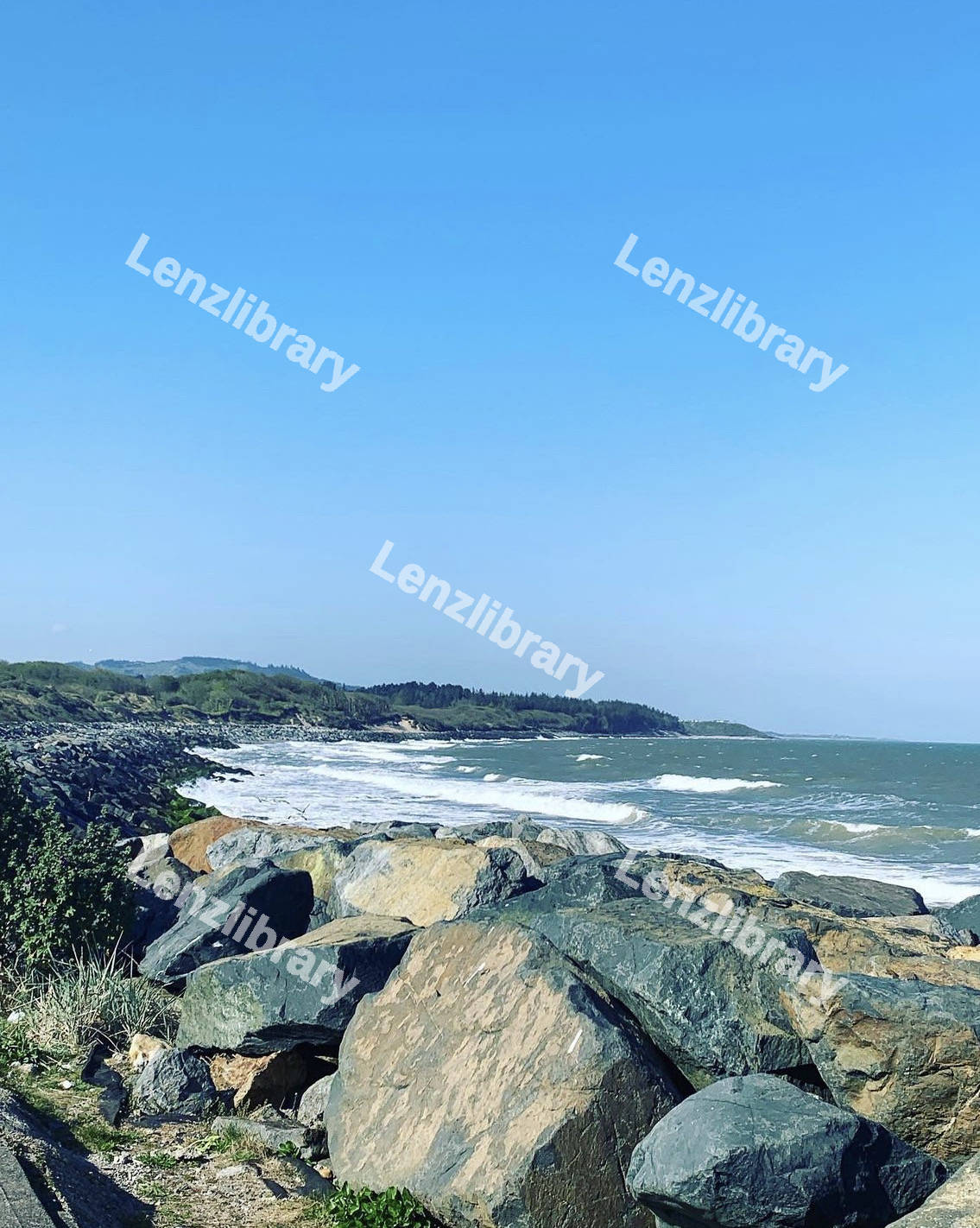 View Of The Coast